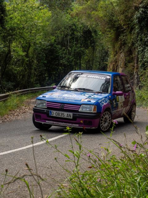 Peugeot 205 Rally, foto 2 de 4